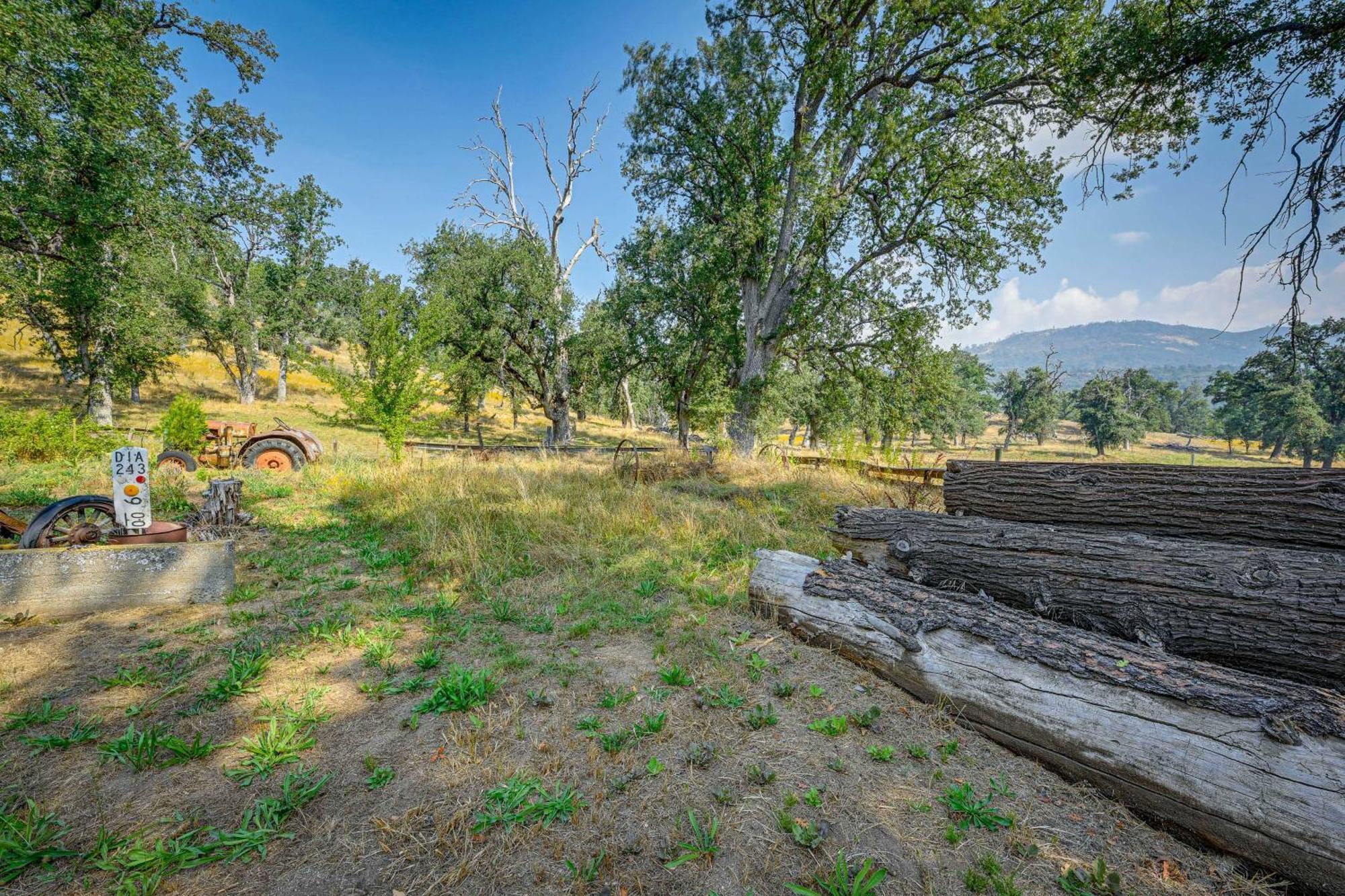 Cozy Family-Friendly Badger Retreat With Fireplace! Екстер'єр фото