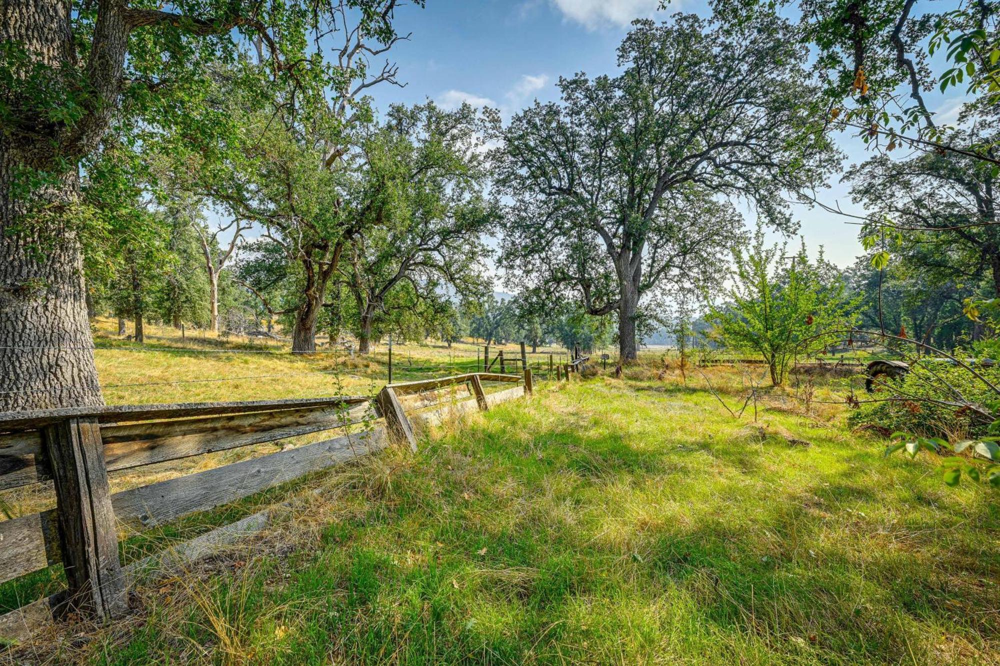 Cozy Family-Friendly Badger Retreat With Fireplace! Екстер'єр фото